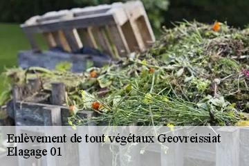 Enlèvement de tout végétaux  geovreissiat-01460 Elagage 01