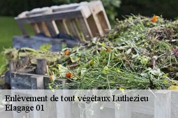 Enlèvement de tout végétaux luthezieu-01260 Elagage 01