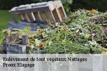 Enlèvement de tout végétaux nattages-01300 Proux Elagage