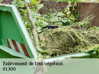 Enlèvement de tout végétaux 01300