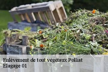 Enlèvement de tout végétaux polliat-01310 Elagage 01