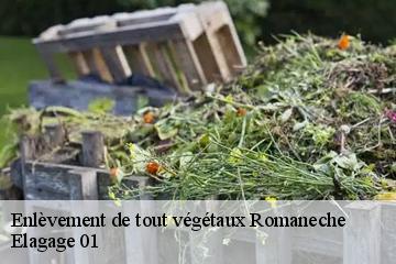 Enlèvement de tout végétaux  romaneche-01250 Elagage 01