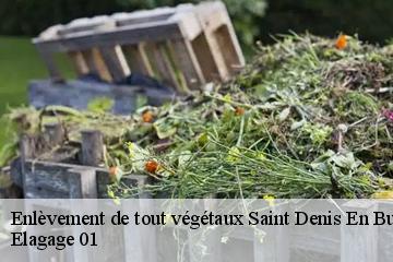 Enlèvement de tout végétaux saint-denis-en-bugey-01500 Elagage 01