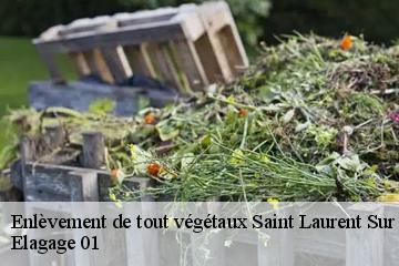 Enlèvement de tout végétaux saint-laurent-sur-saone-01620 Elagage 01