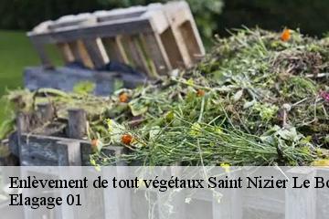 Enlèvement de tout végétaux  saint-nizier-le-bouchoux-01560 Elagage 01