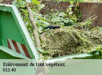 Enlèvement de tout végétaux 01140