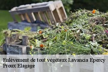 Enlèvement de tout végétaux lavancia-epercy-01590 Proux Elagage