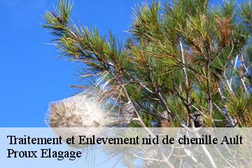 Traitement et Enlevement nid de chenille ault-80460 Proux Elagage