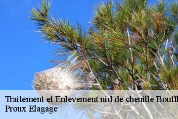 Traitement et Enlevement nid de chenille boufflers-80150 Proux Elagage