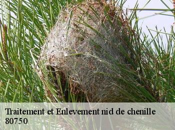 Traitement et Enlevement nid de chenille  80750