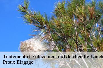Traitement et Enlevement nid de chenille lancheres-80230 Proux Elagage
