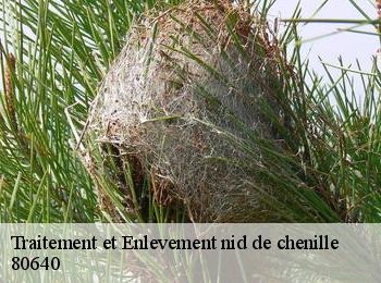 Traitement et Enlevement nid de chenille 80640