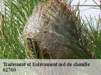 Traitement et Enlevement nid de chenille 62760