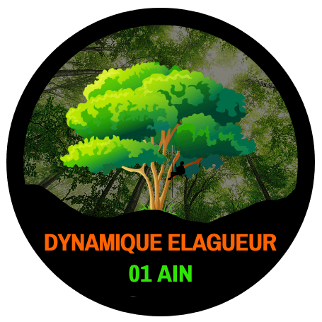 Dynamique Elagueur
